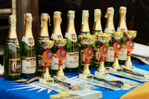 Фигурный пилотаж 2010